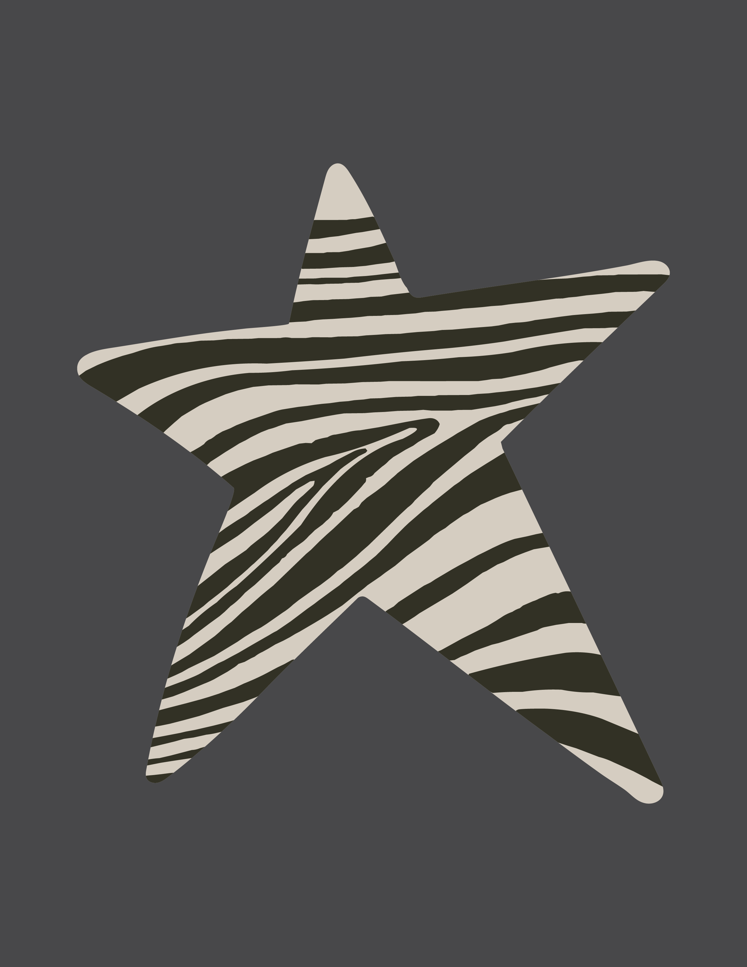 Zebra Puget Sound — Pi Beta Phi design inspiration