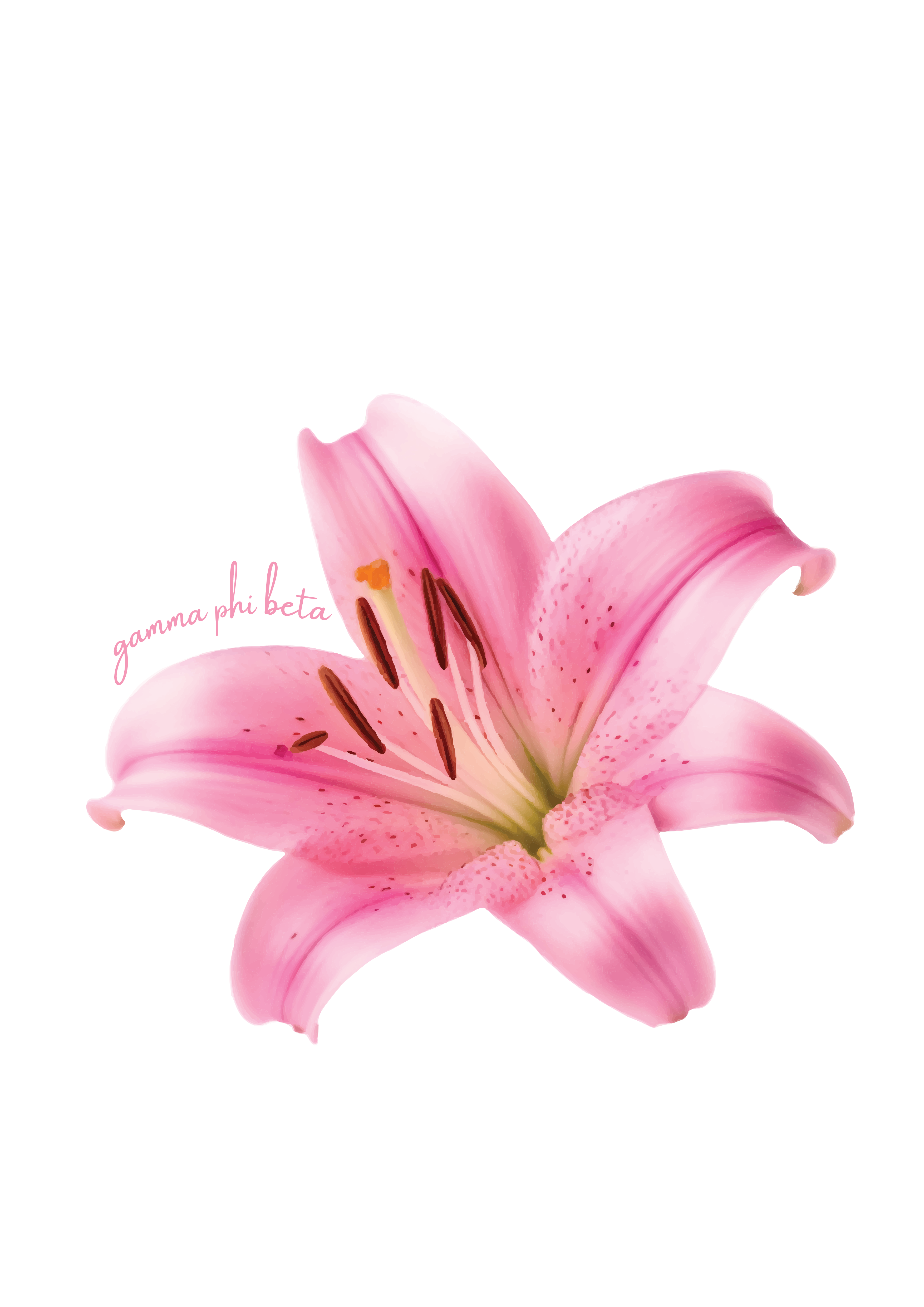 gamma phi beta Lili JM7266B — Gamma Phi Beta design inspiration